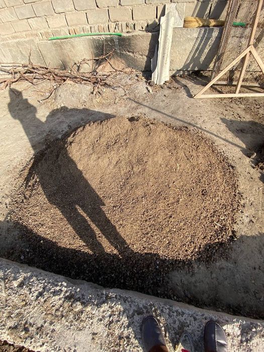 Kuygan poru sotiladi