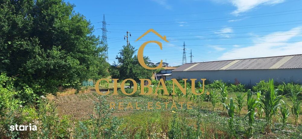 Teren intravilan de vanzare in Isalnita