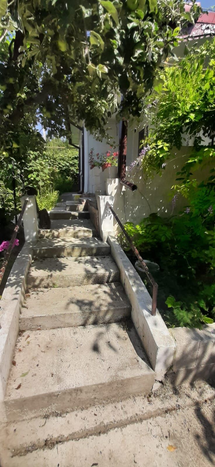 Vand casa, proprietar, oras Pascani
