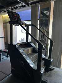 Scari fitness, master stairs