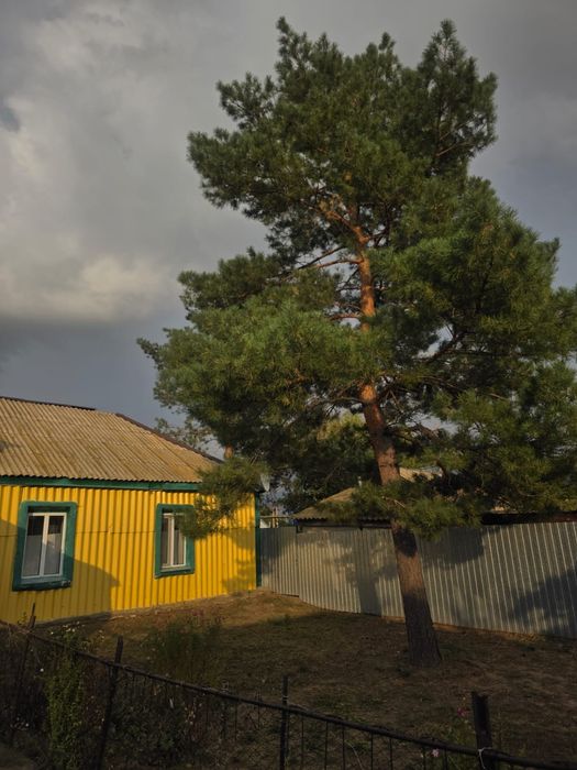Продам дом п.Бурлин