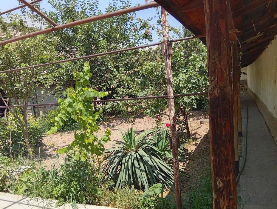 Olmazor tum ohunbobayevda yer sotiladi Srochno