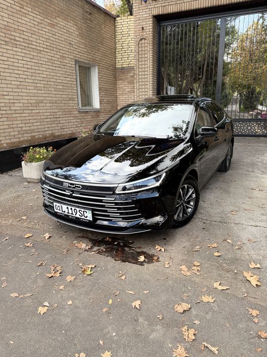 Byd Chazor , 55 - km , Luxe ( 2 позиция )