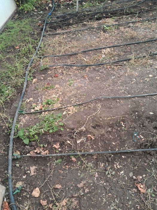 Голям Бидон за Вода 1 тон. И капково напояване