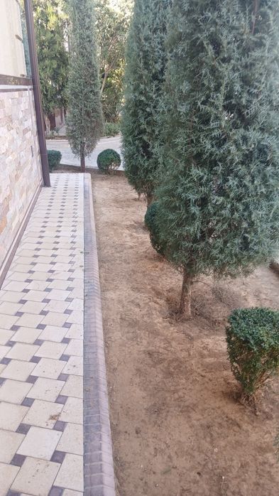 Archalarni kesamiz