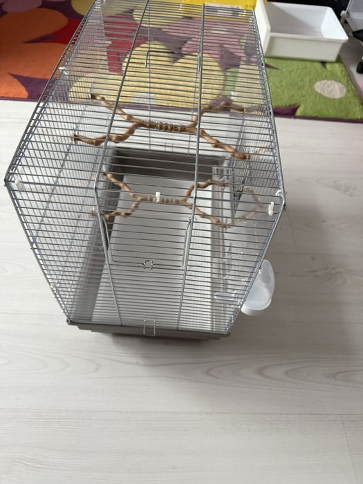 Vand cusca perusi/ papagali