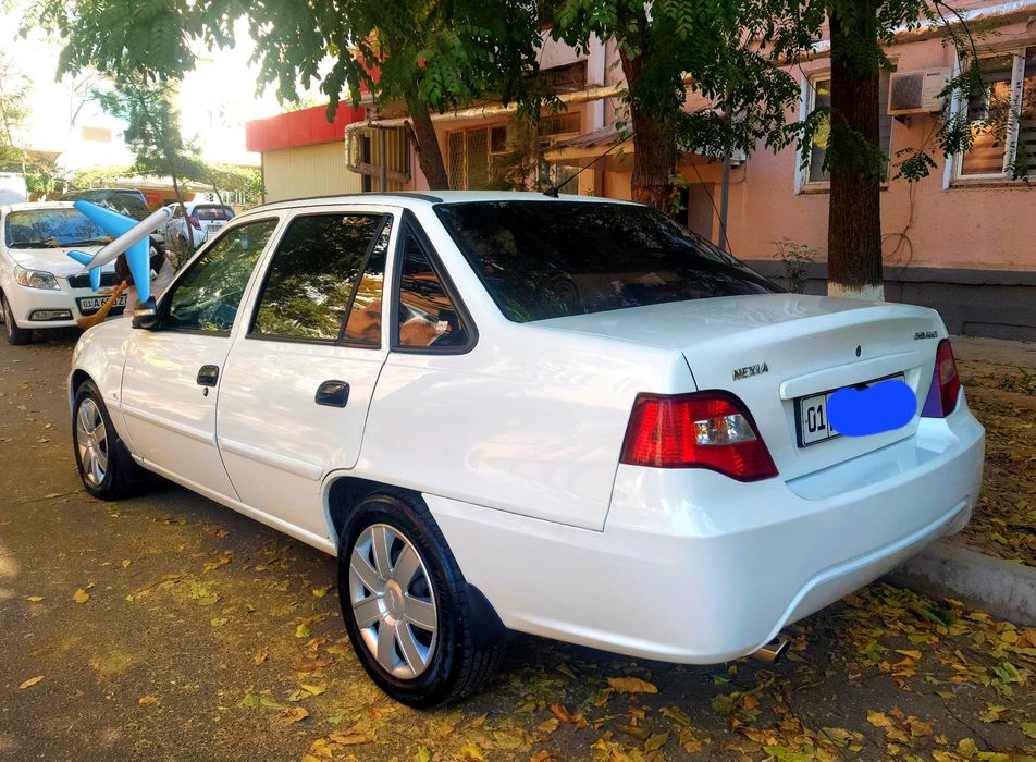 Нексия 2 сонс гибрид (краска тоза)