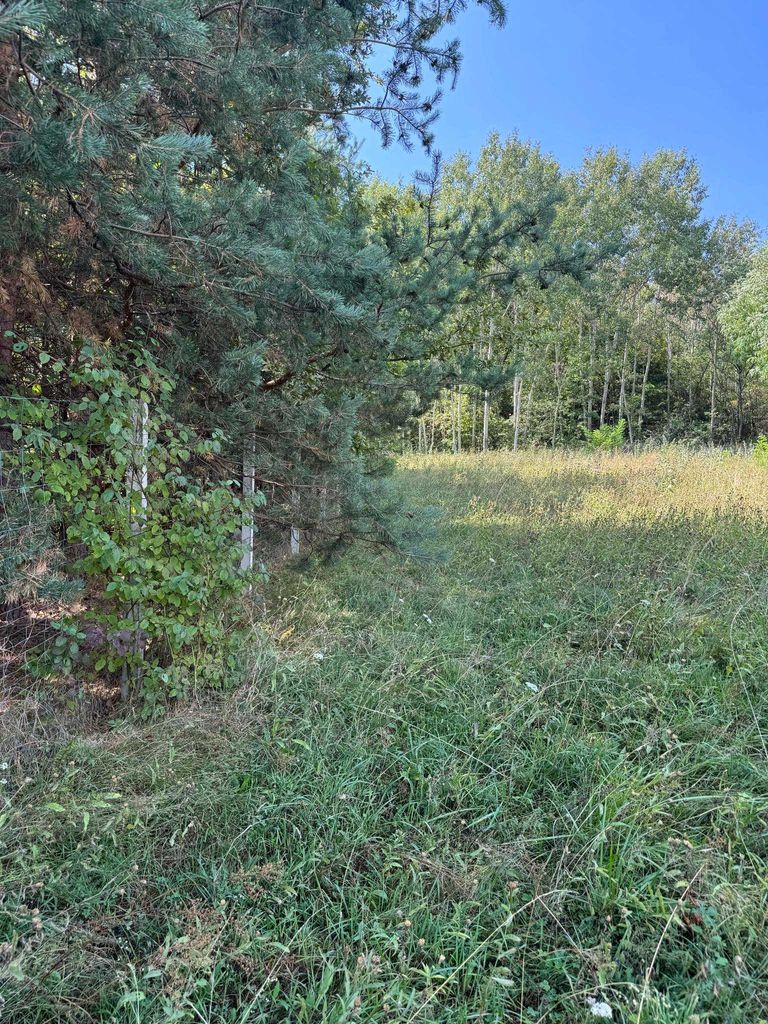 Продава се Парцел в с. Жиленци, Област Кюстендил - 6850 кв.м за 17 €/кв.м - Снимка #9
