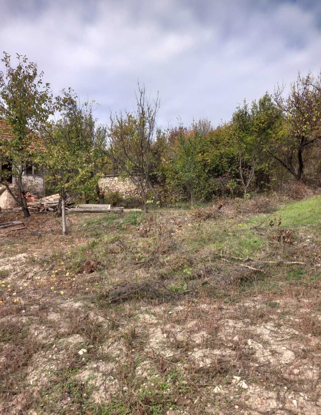 Продава парцел в с. Шипочано.