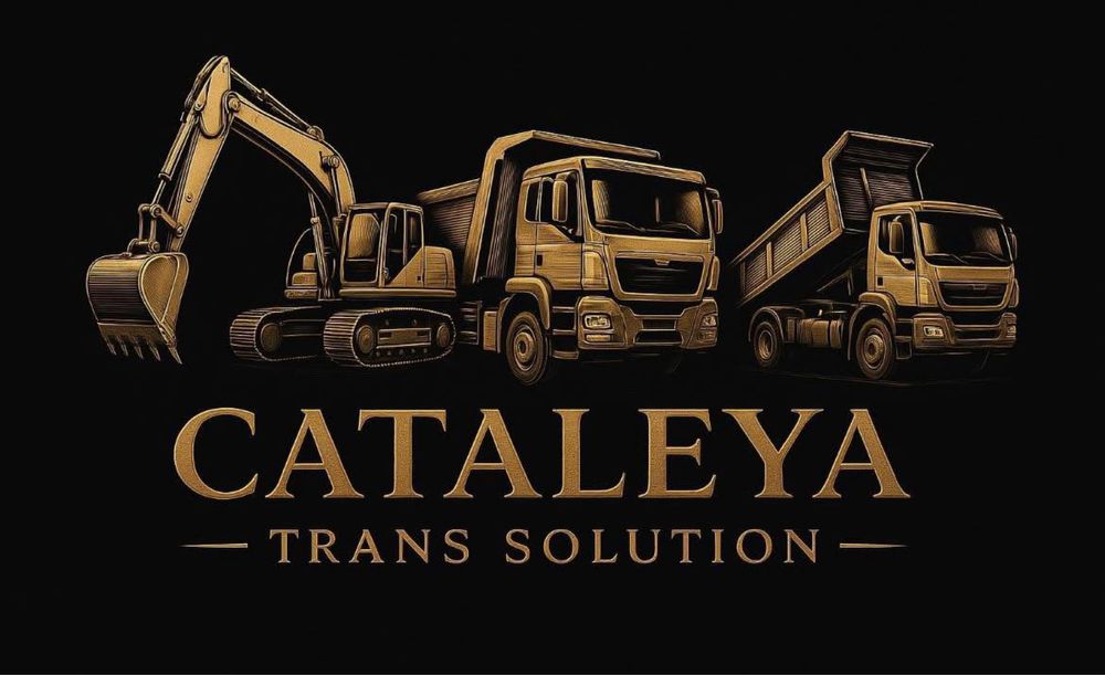 Inchiriez bene detasabile moloz