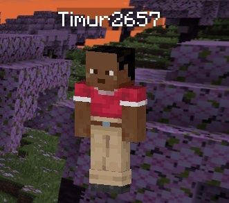 Кто со мной в Майнкрафт?V1.20.81