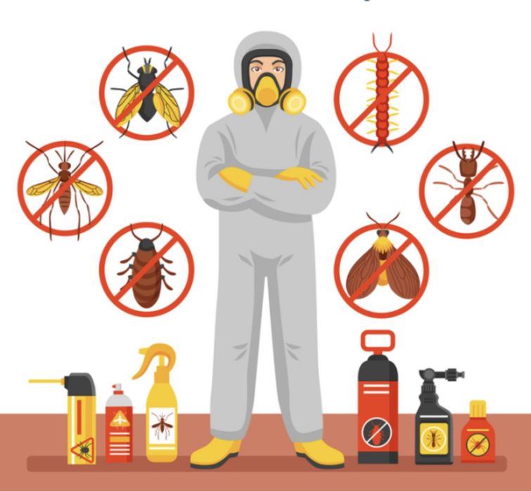 Дезинсекция. Избавляем от тараканов клопов. Блохи.Грызуны. Дезинфекция