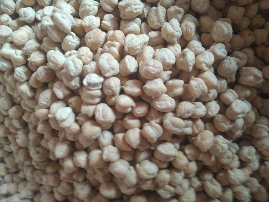 Noʻxat eng yaxshisi