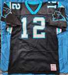Vintage Carolina Panthers NFL football jersey 12