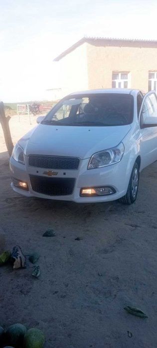 Nexia 3 Qamashi tumani