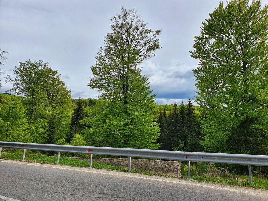 Teren la munte intravilan Cota 1000 Sinaia , muntii Bucegi, Bolboci.
