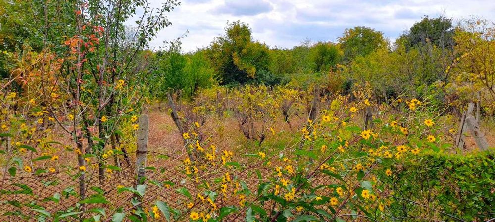 Продава се Парцел в Ямбол, Промишлена зона - 1000 кв.м за 7 €/кв.м - Снимка #9