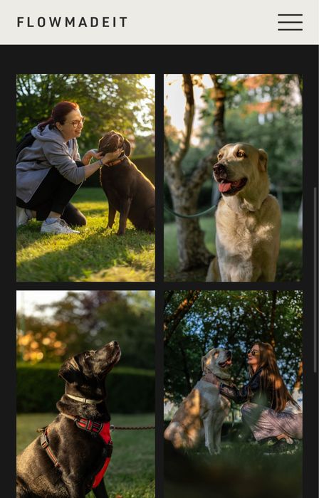 Servicii Foto-video ( portrete,evenimente,imobiliare )