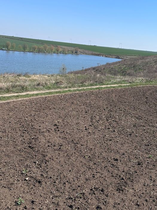 Teren  la balta Crang