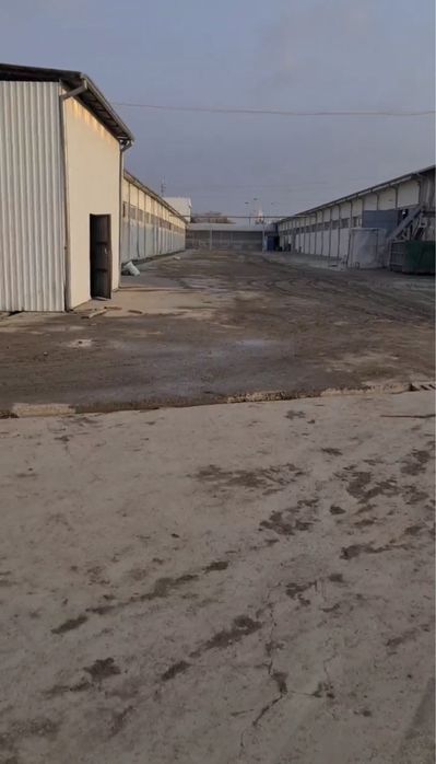 Продается База 2,5 гектар Бектимир Завод Кока Кола Куйлюк, не жилое