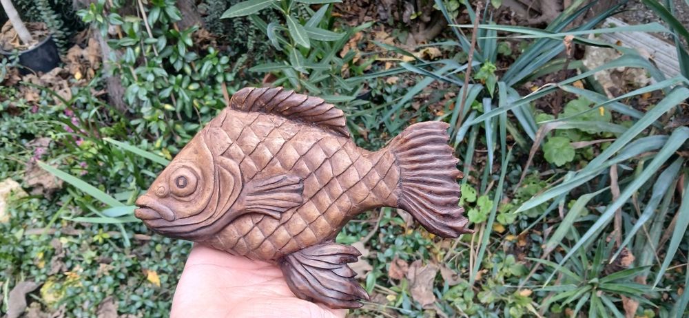 Две Пана риба гъбки - орех