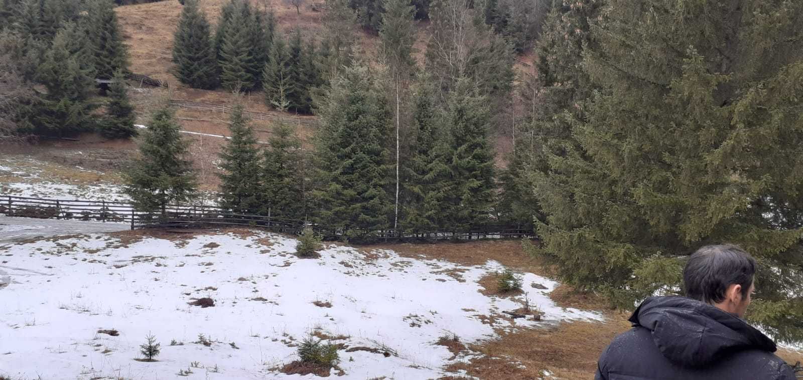 Teren de vanzare in Sărisor, com Șaru Dornei Jud. Suceava