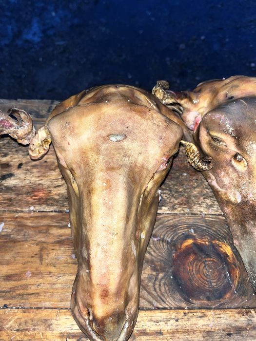 Продаю боранью голову