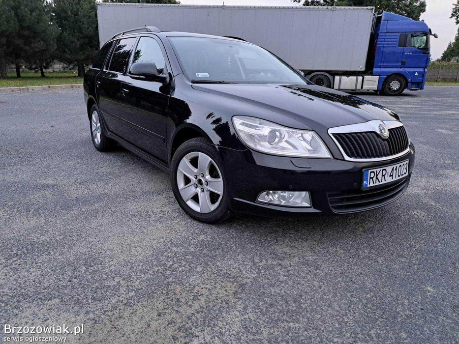 Skoda Octavia ( 1Z3 / 1Z5 ) 2008 - 2013 FACELIFT PIESE AUTO