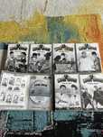 Stan si bran mini colectie 7 dvd-uri