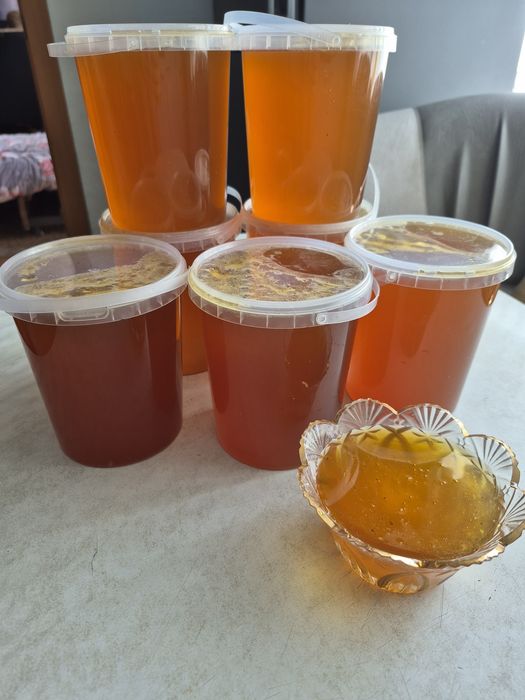 Продам свежий мёд,2025