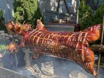 Porc, berbecut , vitel, pui facute la protap!!!