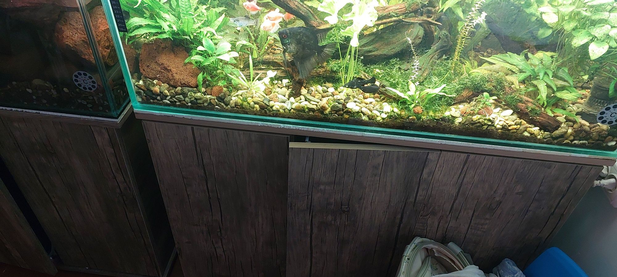 Akvarium sotiladi