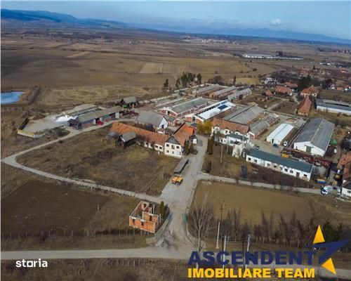 In areal linistit, acces facil, 120.000mp teren extravilan, Covasna ,