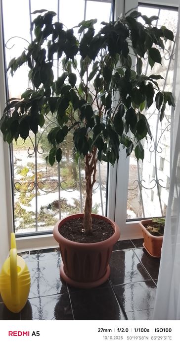 Продам не дорого для дома