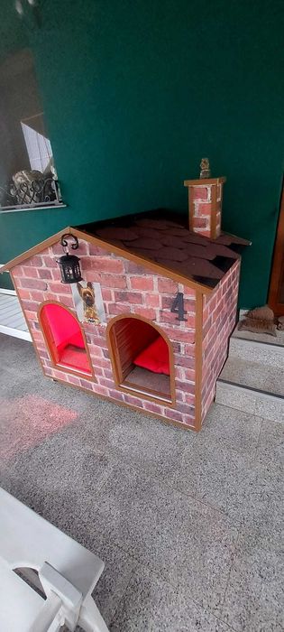 Vand cusca pentru caini