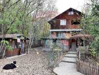 Vanzare casa Provita de Jos Prahova