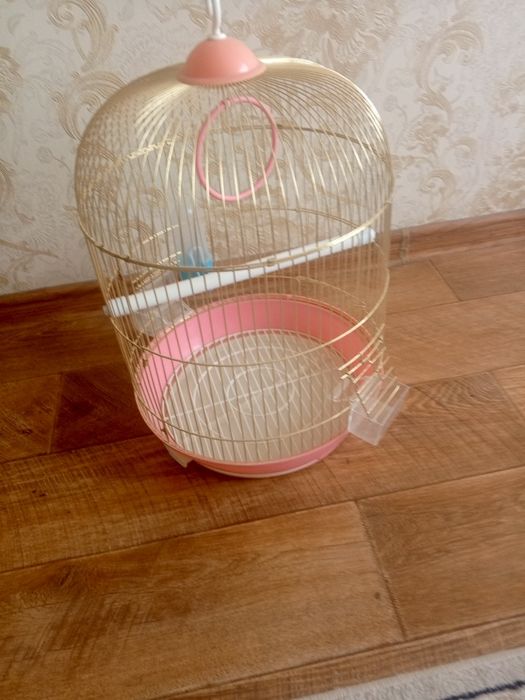 Клетка для попугаев 50/40