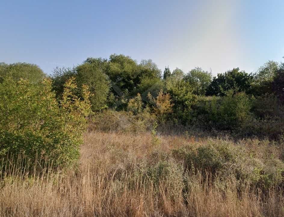 Парцел в Емона 67410