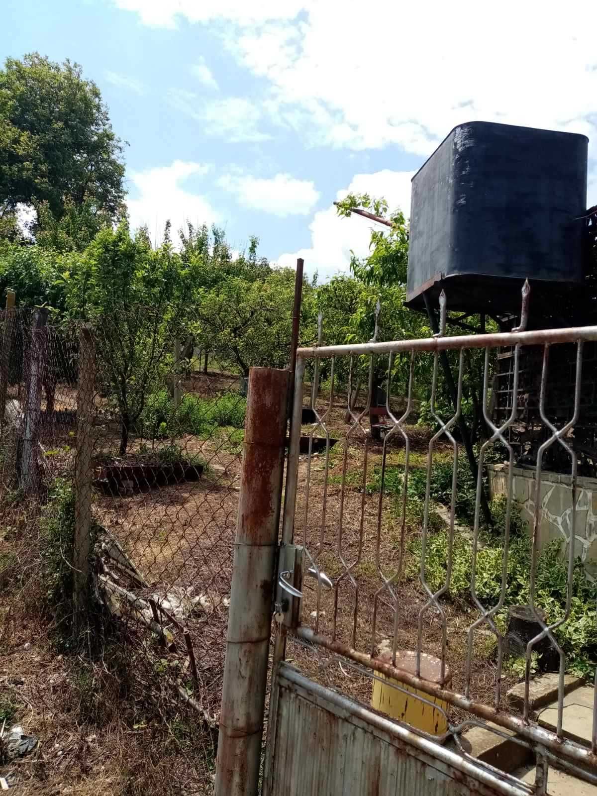 Търговски обект в село Шемшево община В.Търново