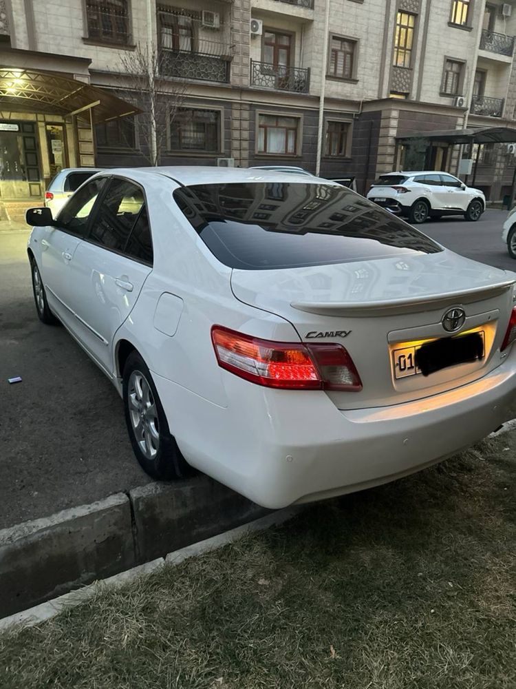 toyota camry 40 ideal