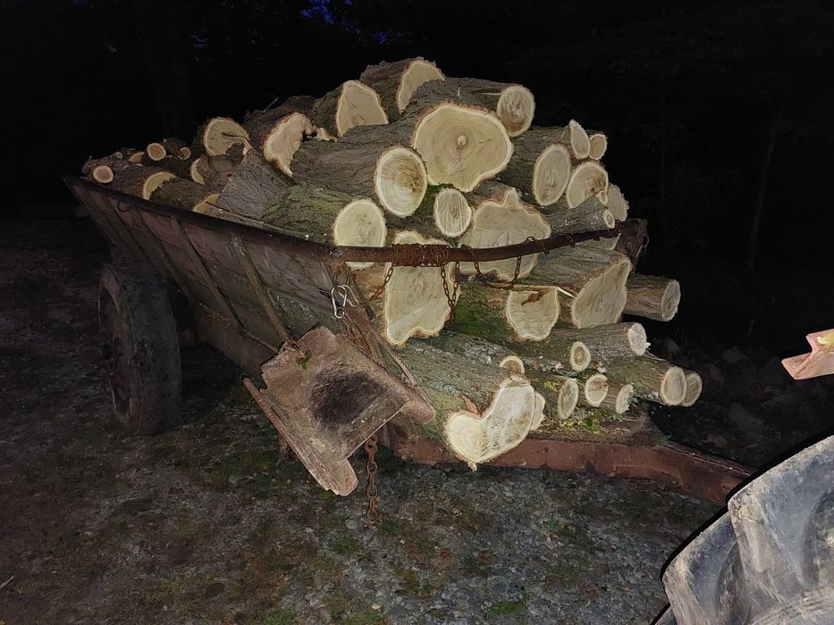 Lemne de foc de vînzare