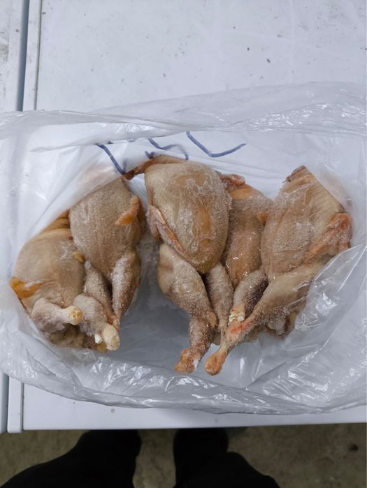 Продаю мясо перепелов