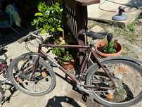 Vind biciclete adulți și copii