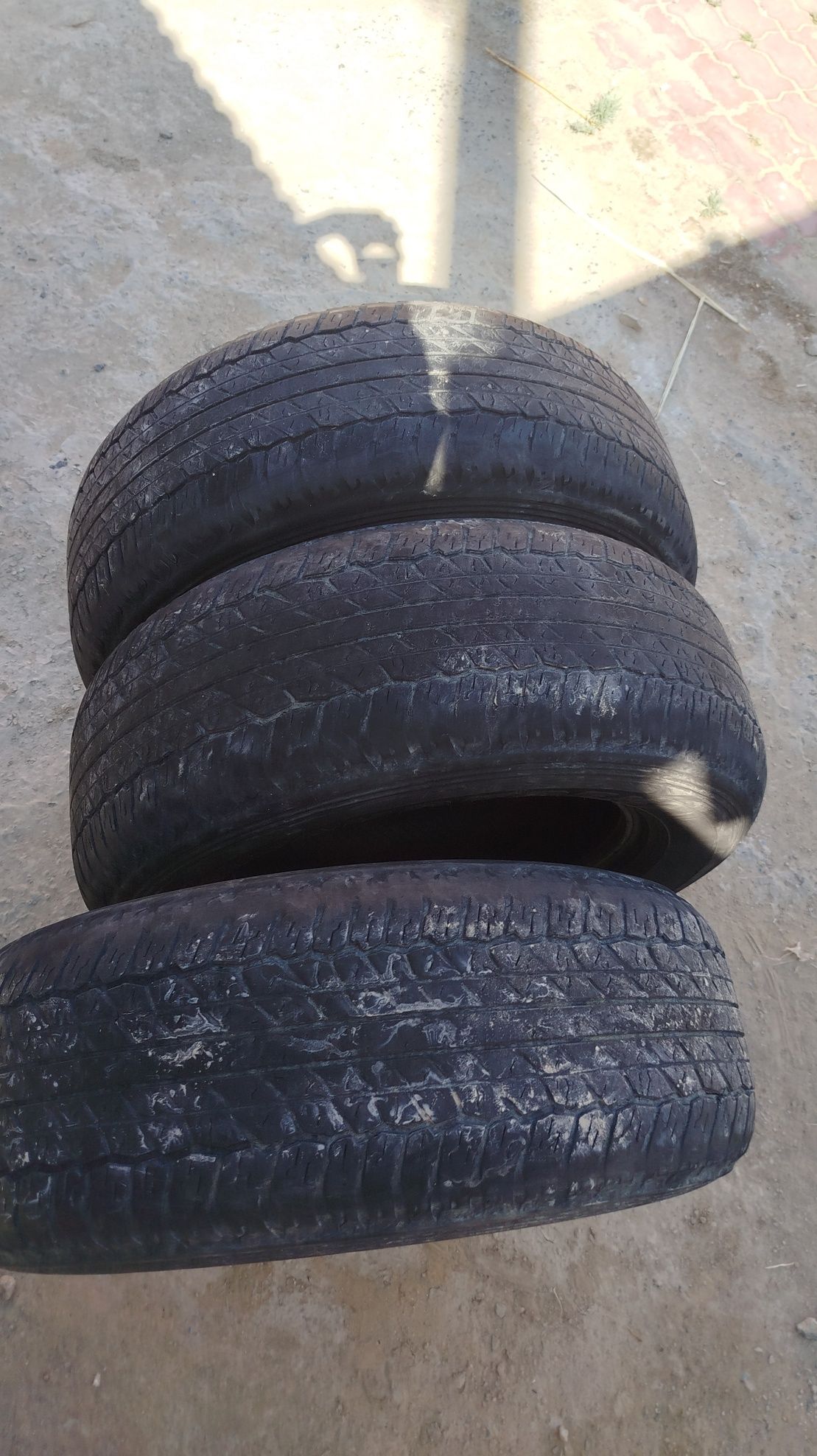 Dunlop шины летние продам