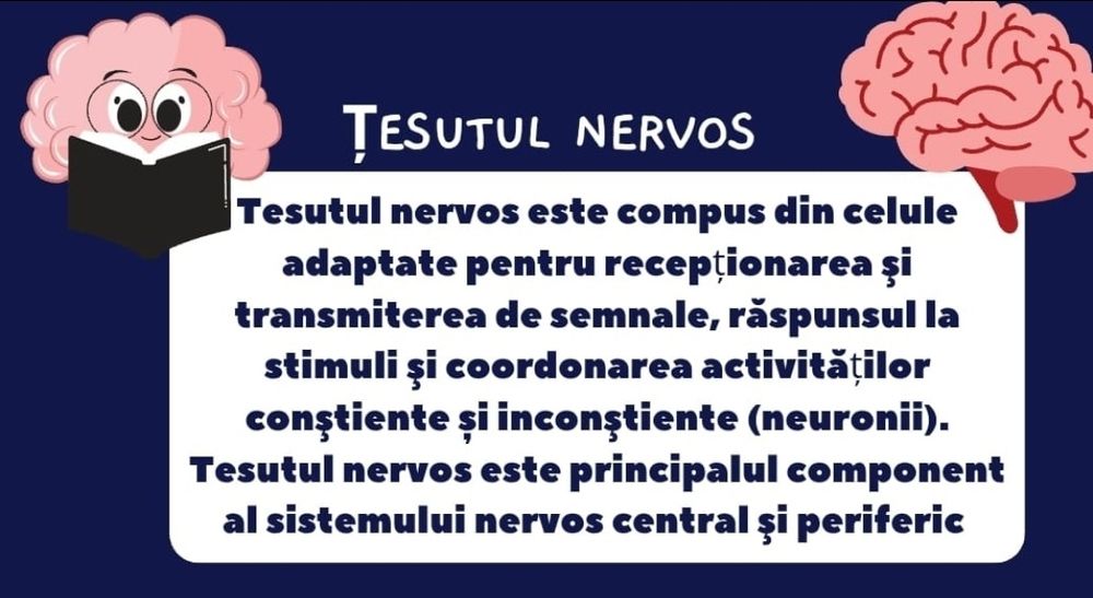 Meditații BIOLOGIE medicină / BAC