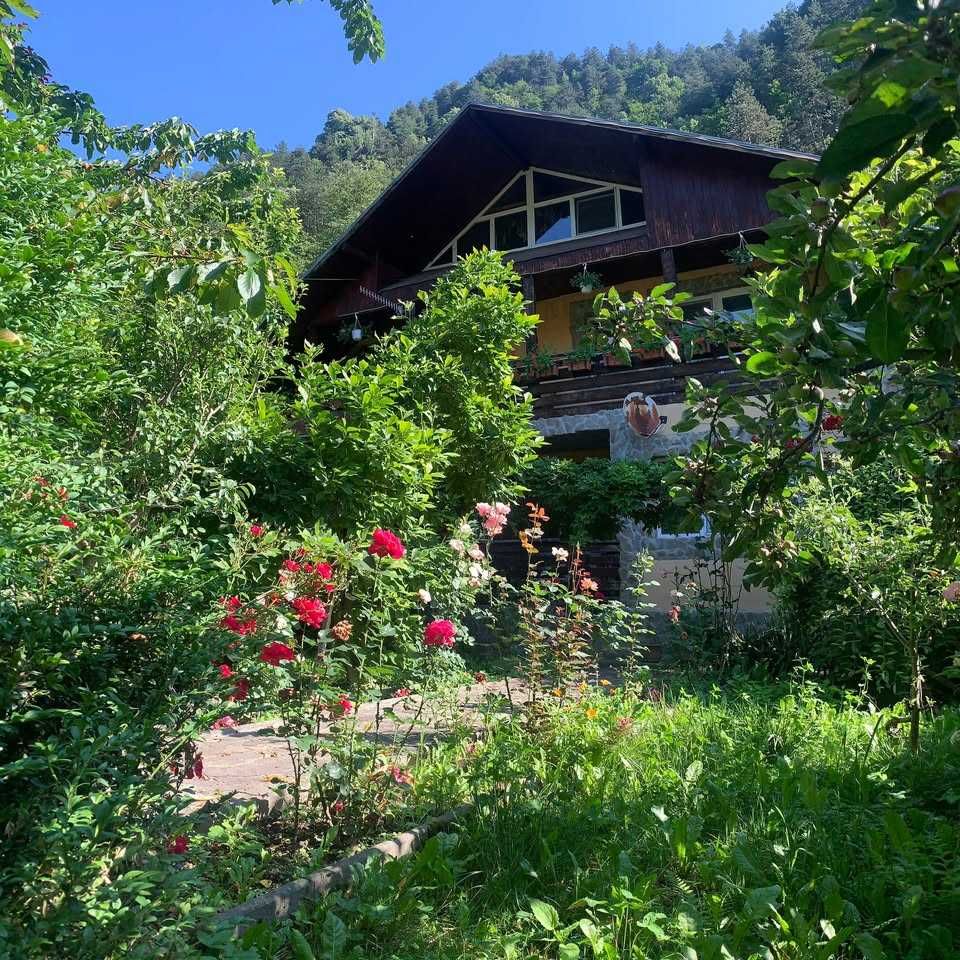 Casa de vânzare - 330 mp2 utili - 124900 EUR - pret usor negociabil