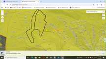 Vand 23,11 ha padure Petru Rares (sat Reteag),jud.Bistrita-Nasaud