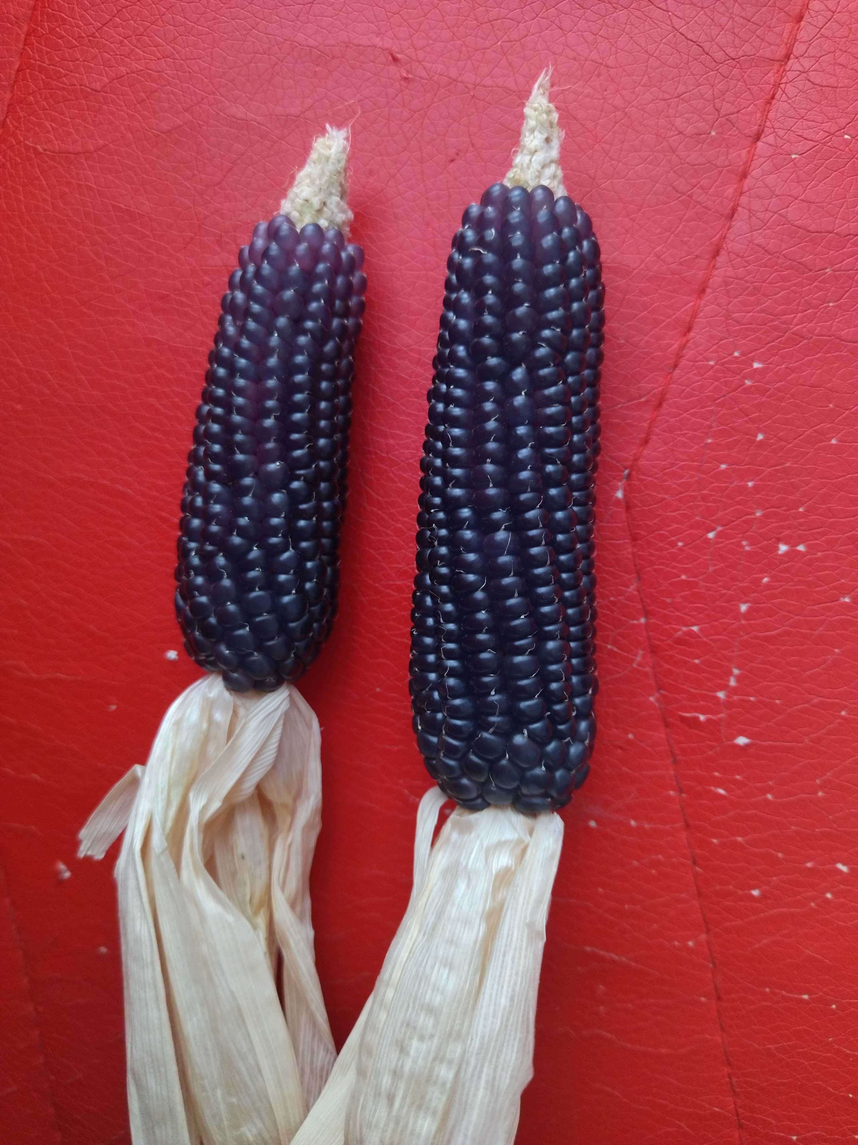 Пуканки, черна царевица - семена