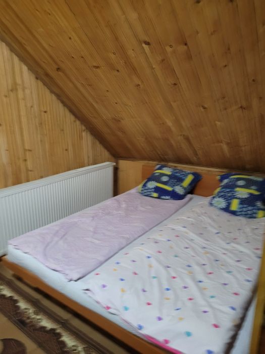 Cabana_ Șuncuiuș Crăciun și Revelion