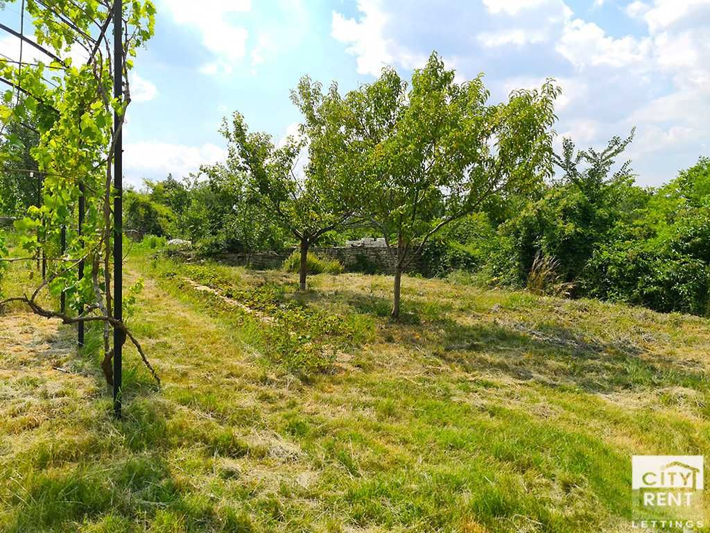 116092 ЕКСКЛУЗИВНО! Двуетажна къща в село Пушево, Велико Търново